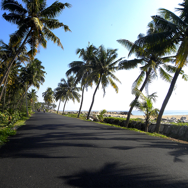 Fisheries roads /culverts