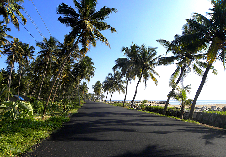 Fisheries Roads/Culverts